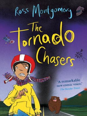 cover image of The Tornado Chasers